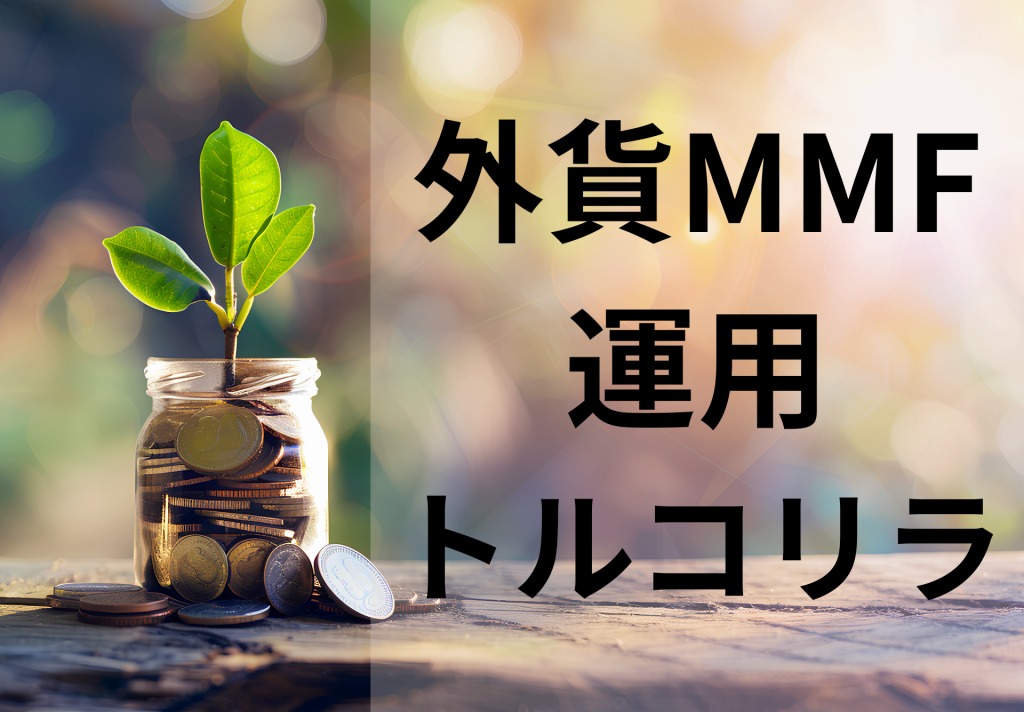 外貨MMF運用